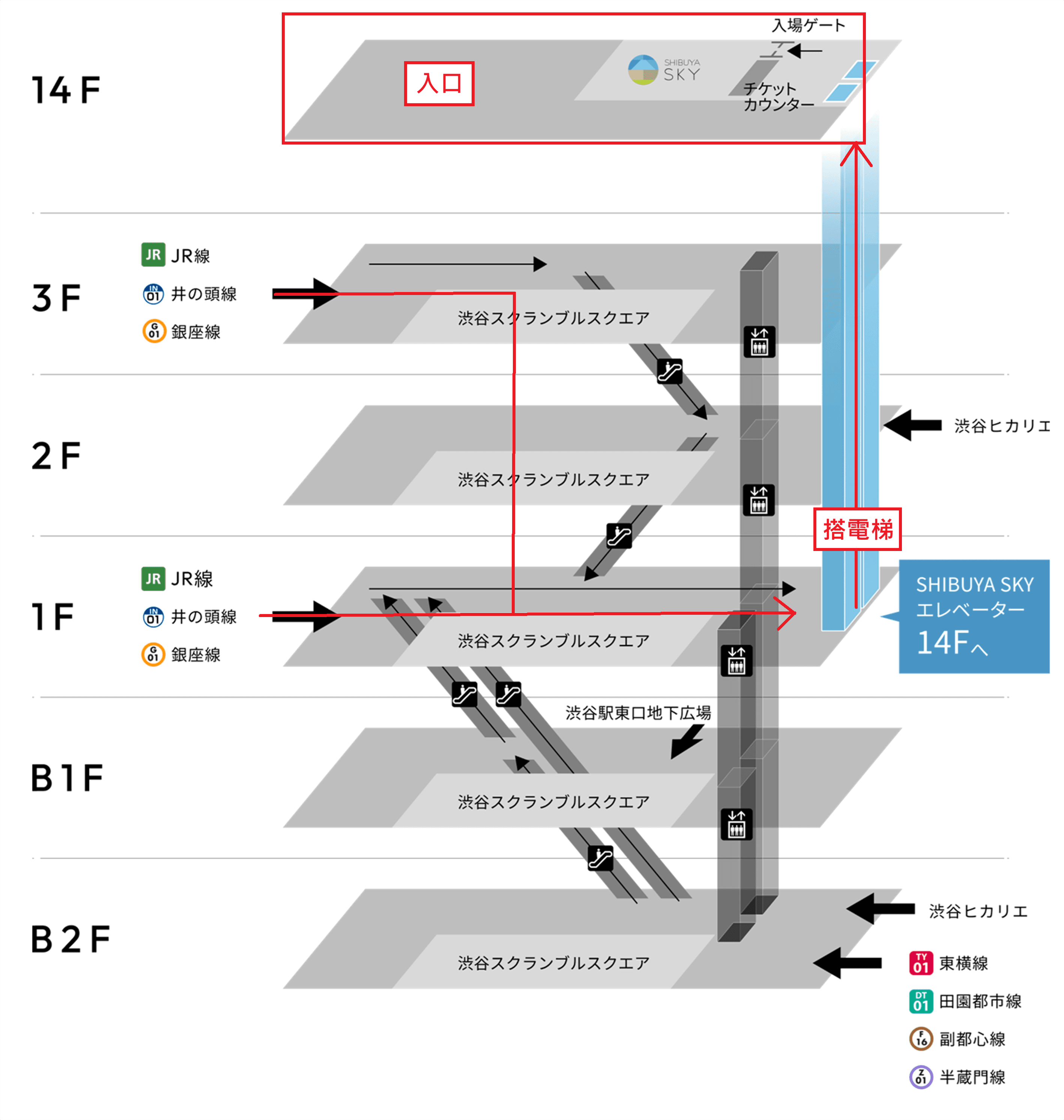 SHIBUYA SKY 電梯動線示意圖，標示 B2F、B1F、1F、2F、3F 到 14F 入口與專用電梯位置